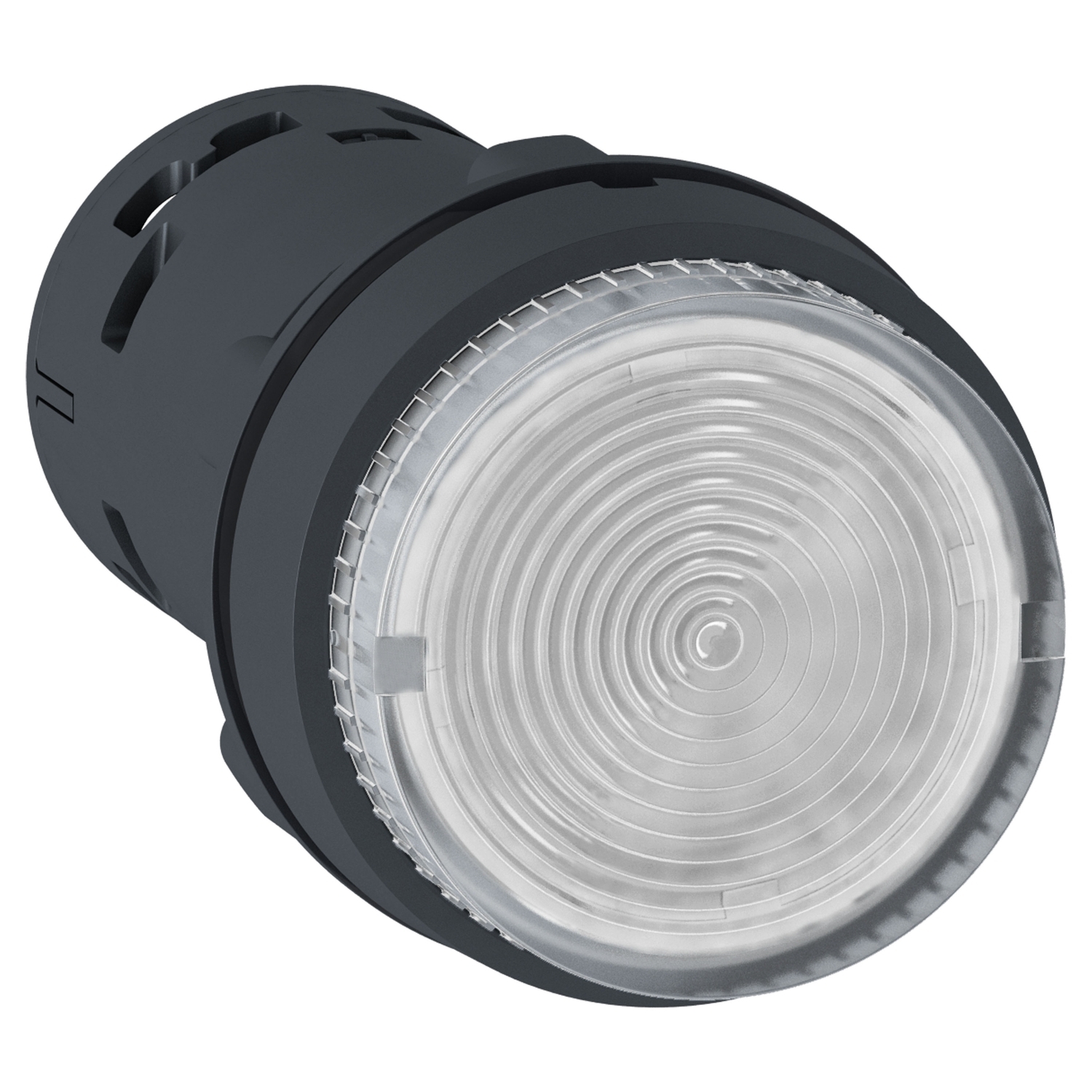 Schneider Electric Işkl. P.B - Ampul - Yaylı Dnş -1Na - Renksiz - 230V