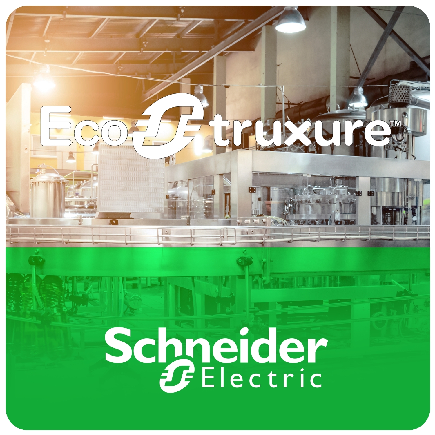 Schneider Electric Machine Expert Standard Team license - Asfora 2'li Topraklı Priz Krem